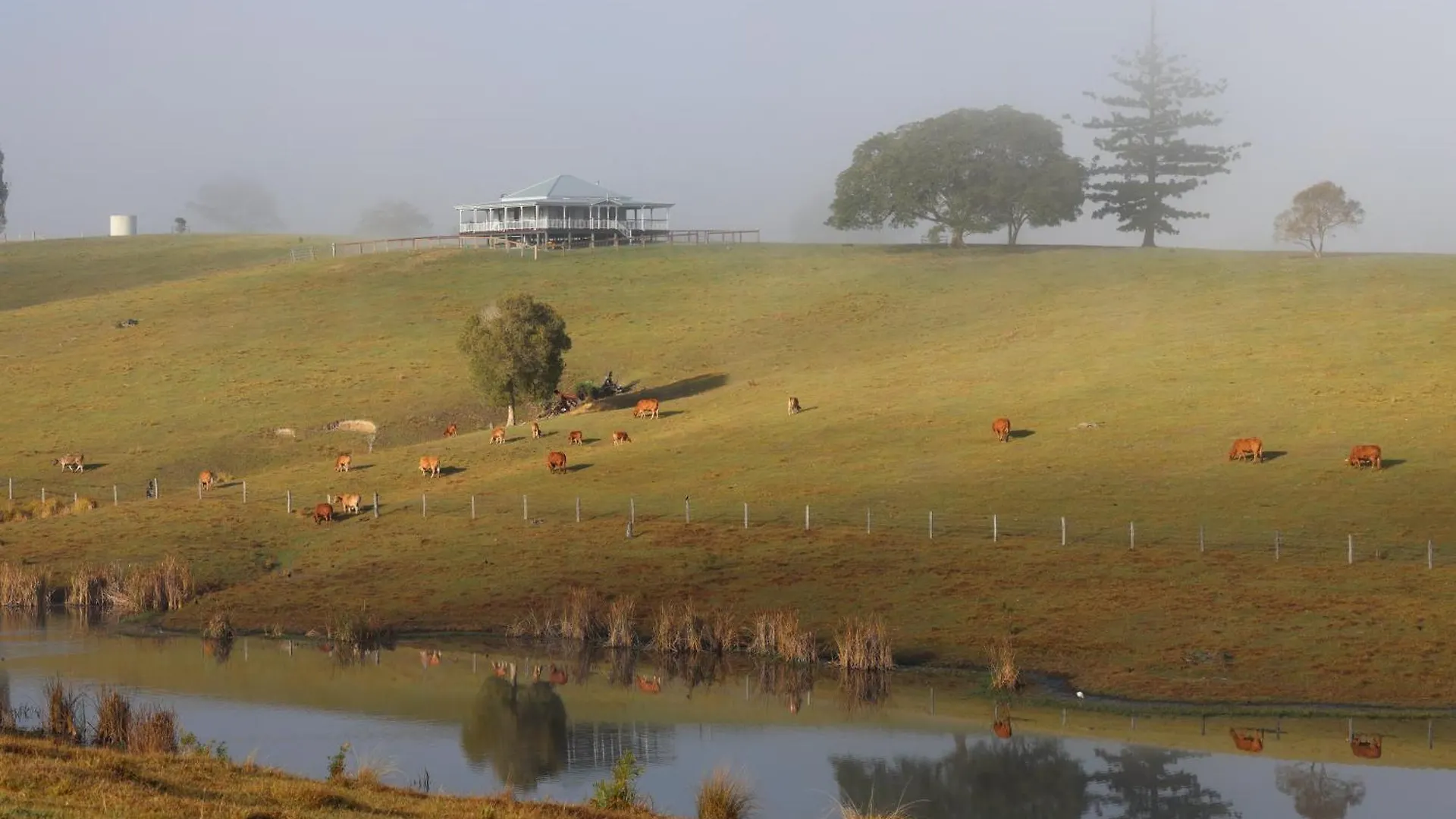 Cookes Road Cottage At Conondale